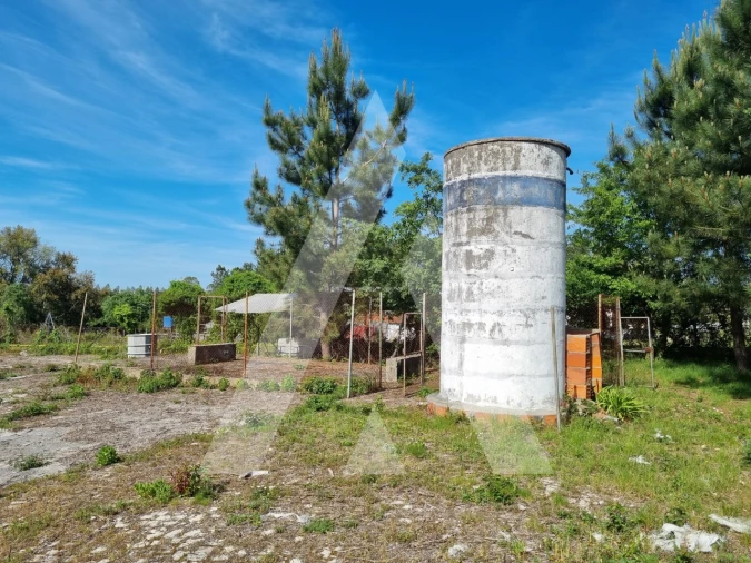Armazém para Venda em Maceira Foto 5