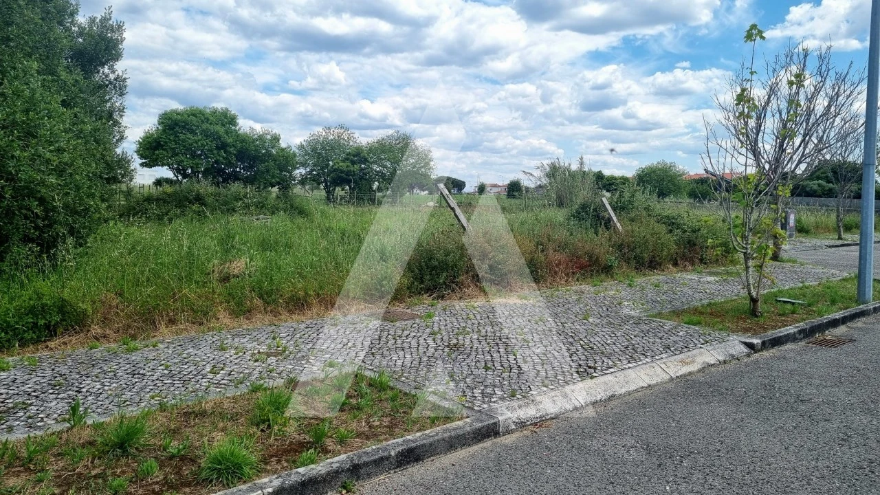 Terreno para Venda em Paião Foto 18