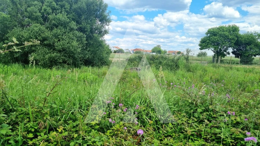 Terreno para Venda em Paião Foto 21