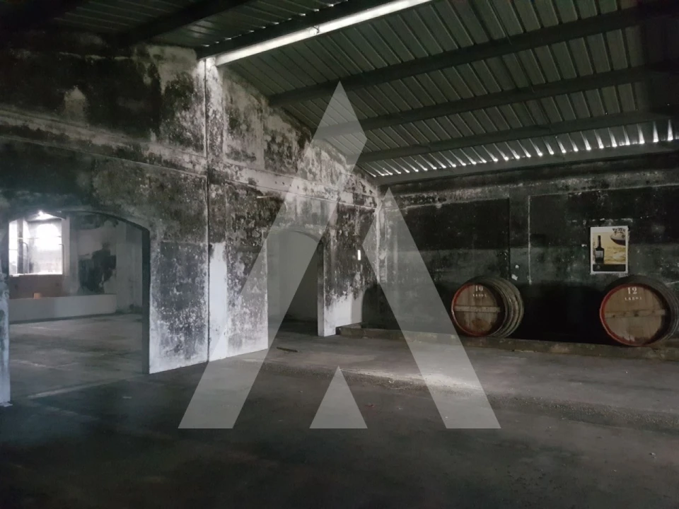 Negócio para Arrendamento em Sangalhos Foto 7