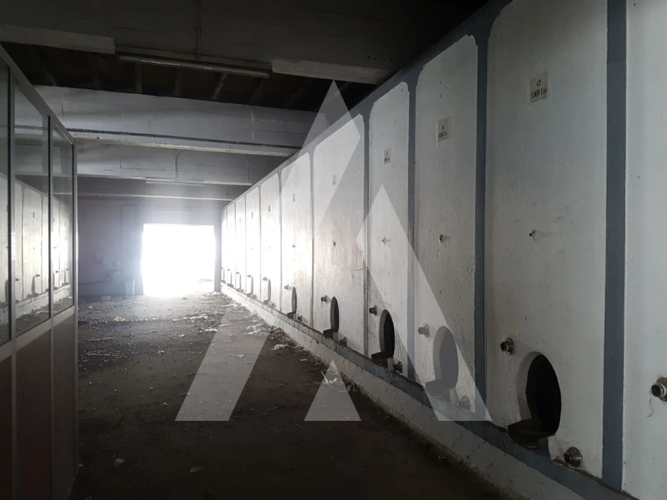 Negócio para Arrendamento em Sangalhos Foto 12