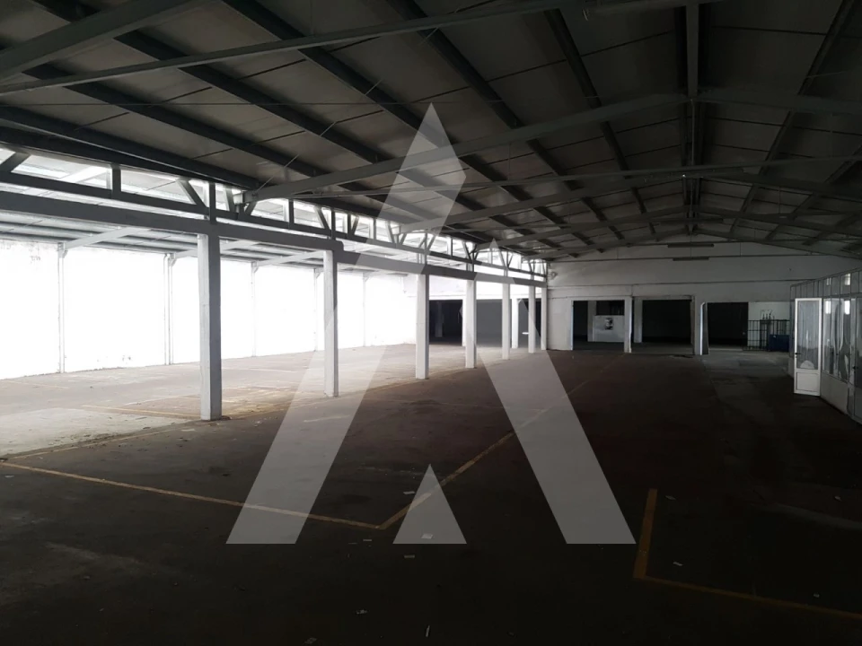 Negócio para Arrendamento em Sangalhos Foto 13