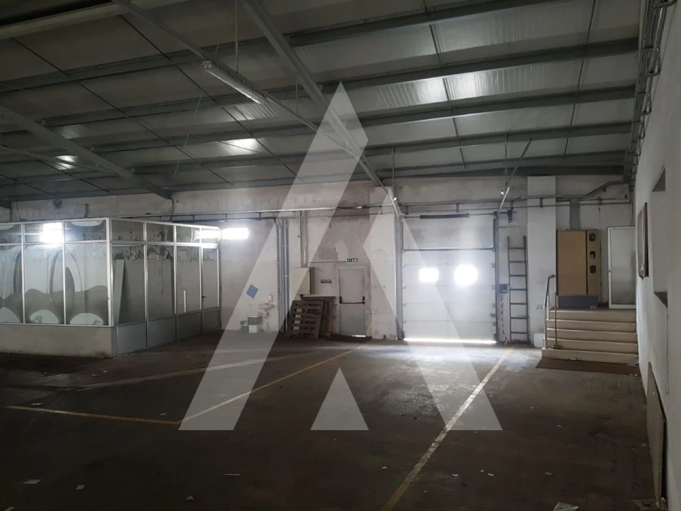 Negócio para Venda em Sangalhos Foto 19