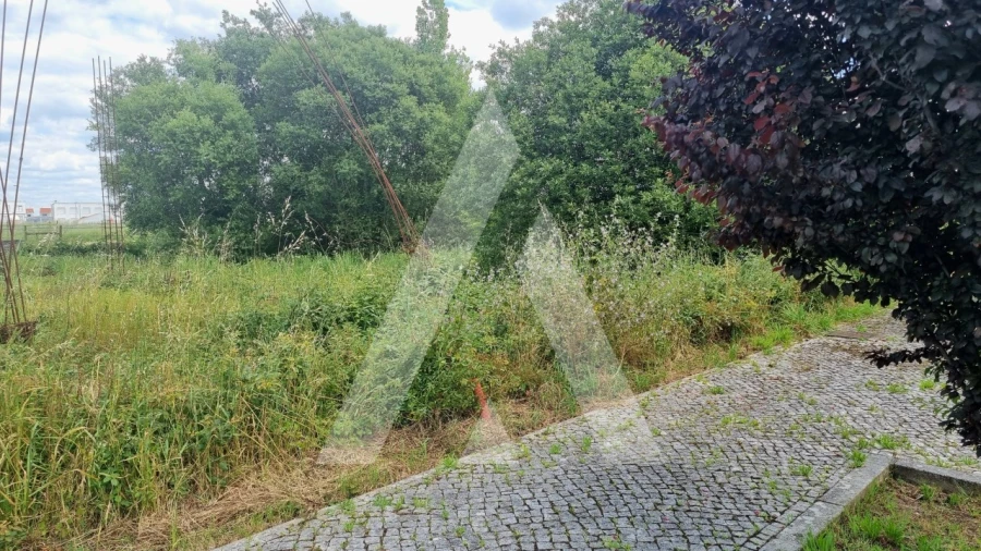 Terreno para Venda em Paião Foto 18