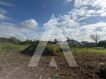 Terreno para Venda em Paião