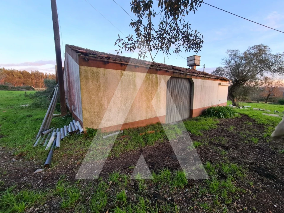 Quinta T5 para Venda em Souto da Carpalhosa e Ortigosa Foto 4