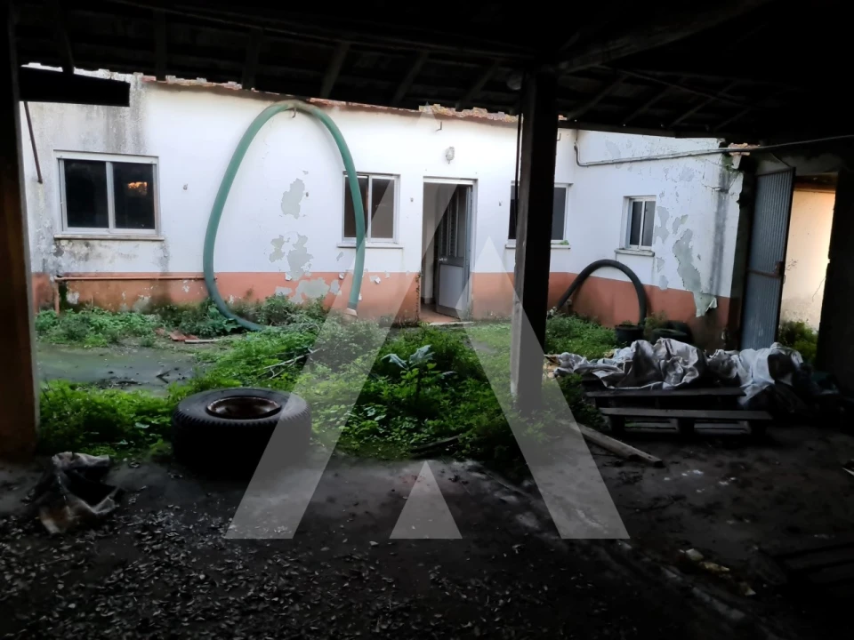 Quinta T5 para Venda em Souto da Carpalhosa e Ortigosa Foto 6