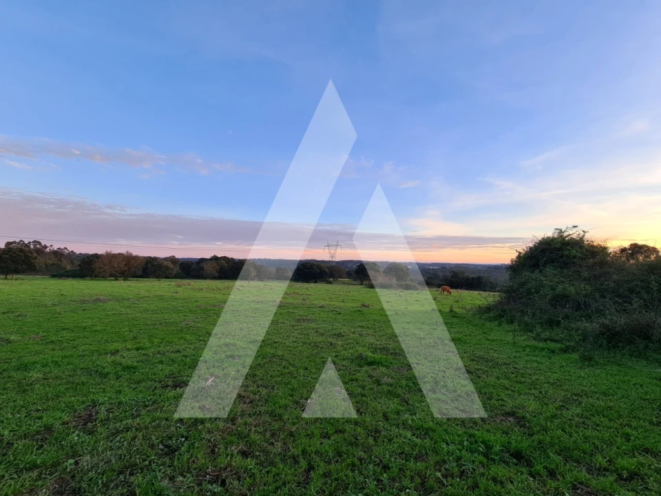 Quinta T5 para Venda em Souto da Carpalhosa e Ortigosa Foto 11