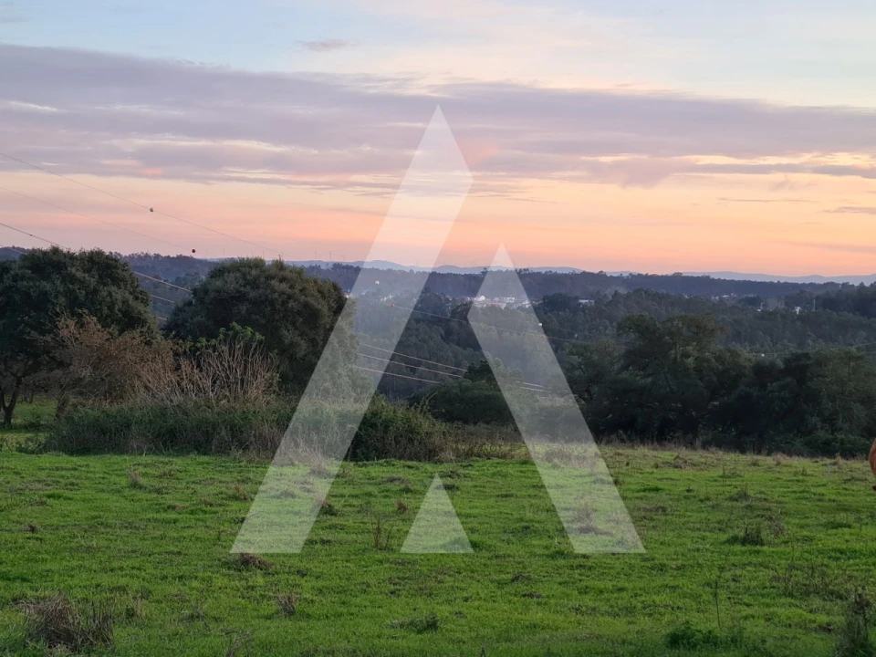 Quinta T5 para Venda em Souto da Carpalhosa e Ortigosa Foto 20