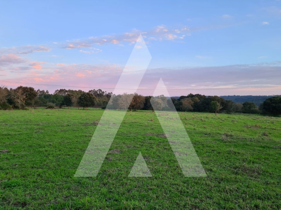 Quinta T5 para Venda em Souto da Carpalhosa e Ortigosa Foto 21