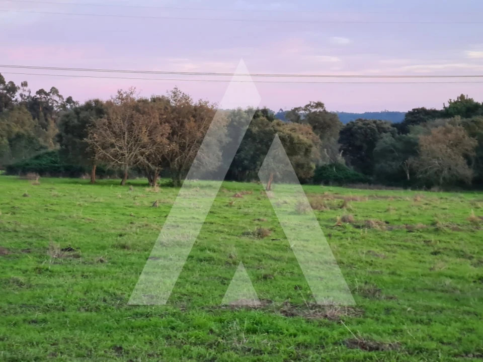 Quinta T5 para Venda em Souto da Carpalhosa e Ortigosa Foto 23