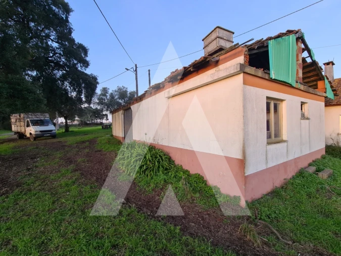 Quinta T5 para Venda em Souto da Carpalhosa e Ortigosa Foto 5