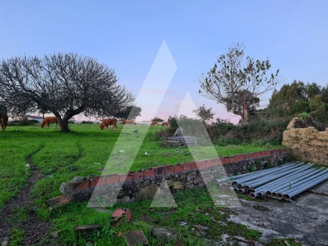 Quinta T5 para Venda em Souto da Carpalhosa e Ortigosa Foto 8