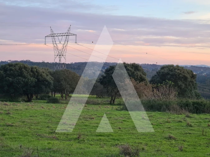 Quinta T5 para Venda em Souto da Carpalhosa e Ortigosa Foto 19