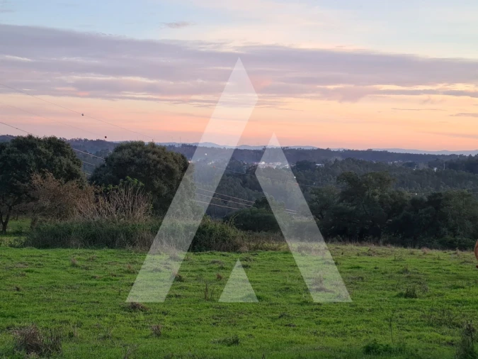 Quinta T5 para Venda em Souto da Carpalhosa e Ortigosa Foto 20