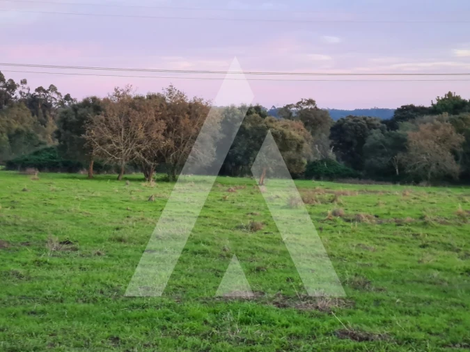 Quinta T5 para Venda em Souto da Carpalhosa e Ortigosa Foto 23