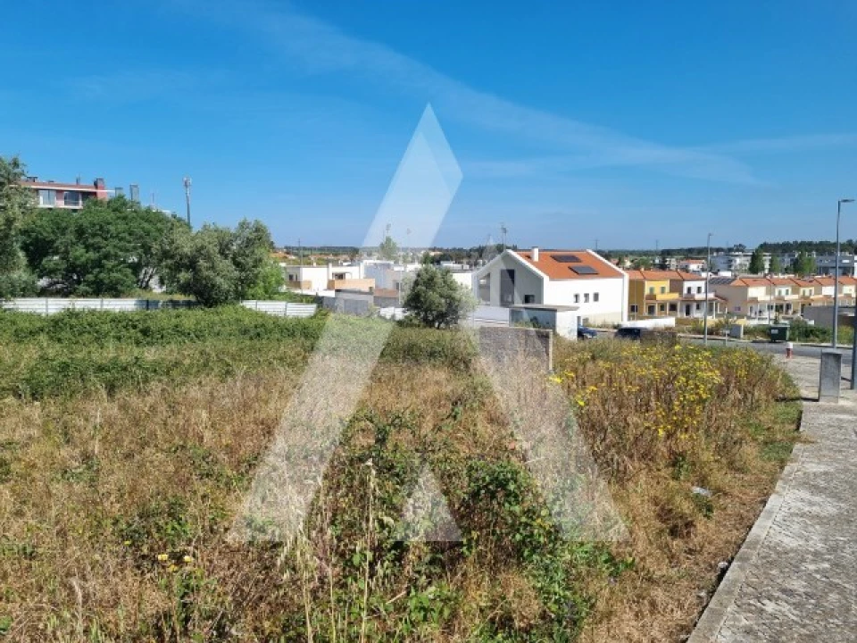 Terreno para Venda em Cartaxo e Vale da Pinta Foto 5