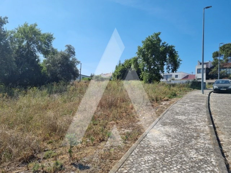 Terreno para Venda em Cartaxo e Vale da Pinta Foto 6