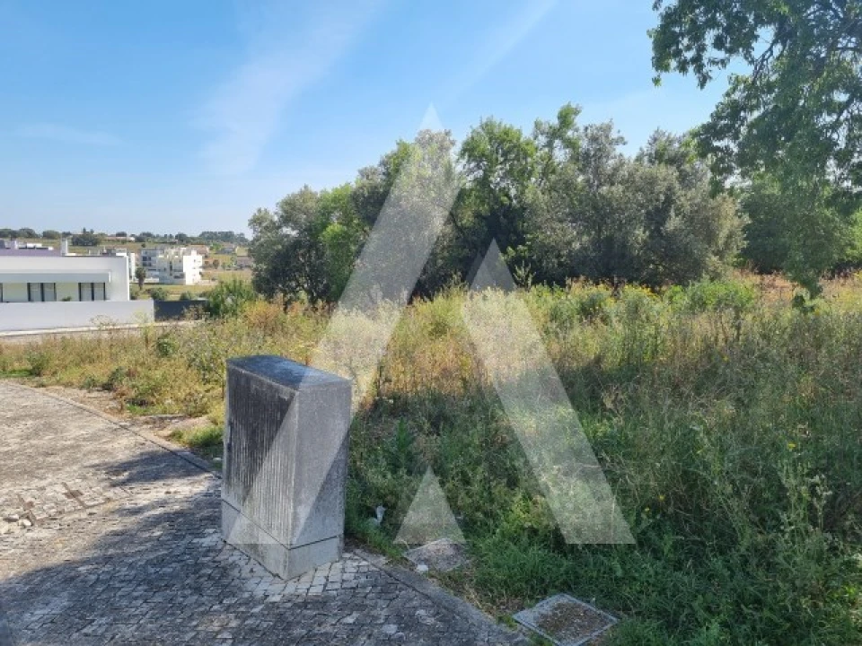 Terreno para Venda em Cartaxo e Vale da Pinta Foto 7