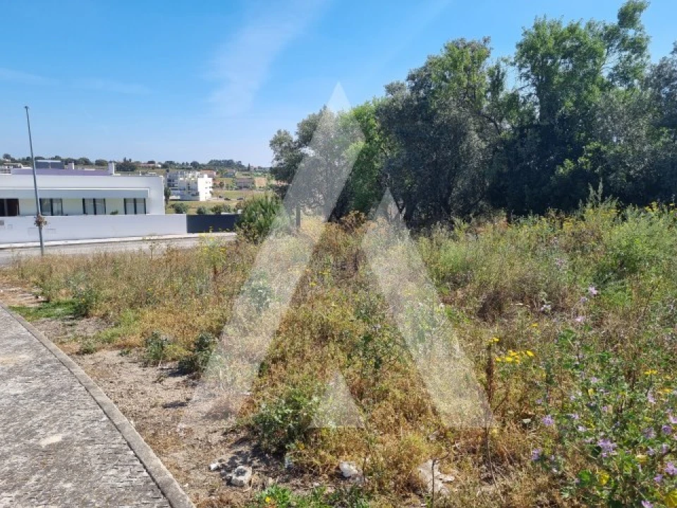Terreno para Venda em Cartaxo e Vale da Pinta Foto 8