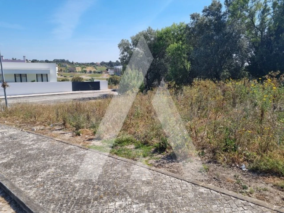 Terreno para Venda em Cartaxo e Vale da Pinta Foto 9