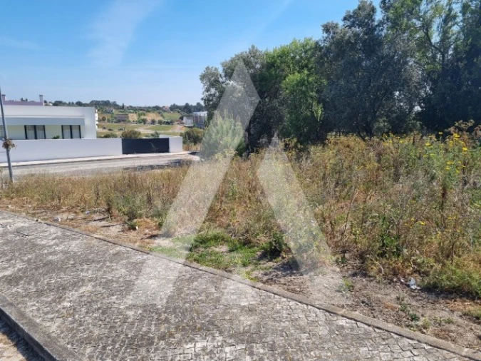 Terreno para Venda em Cartaxo e Vale da Pinta Foto 9