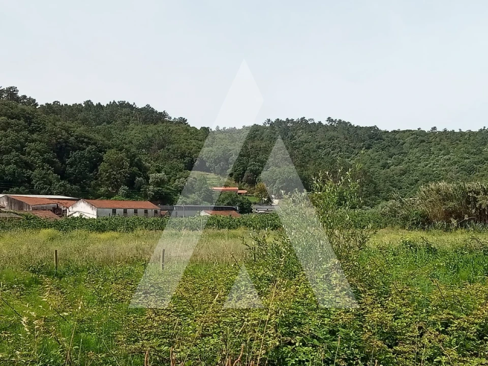 Moradia T3 para Venda em Maiorga Foto 15