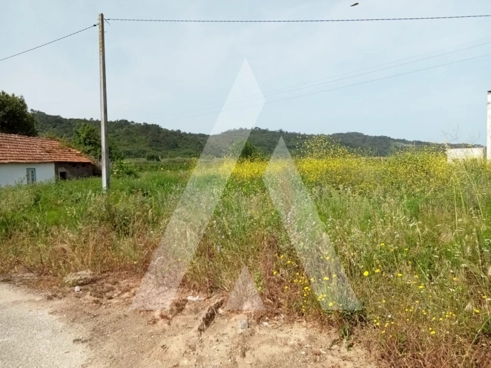 Moradia T3 para Venda em Maiorga Foto 30