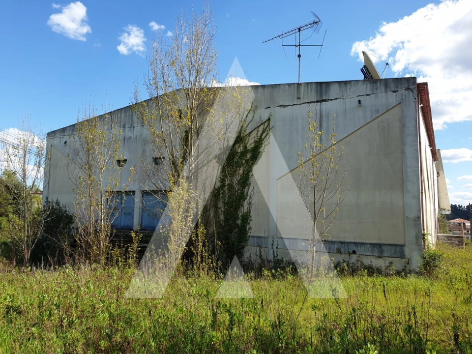 Negócio para Venda em Louriçal Foto 22
