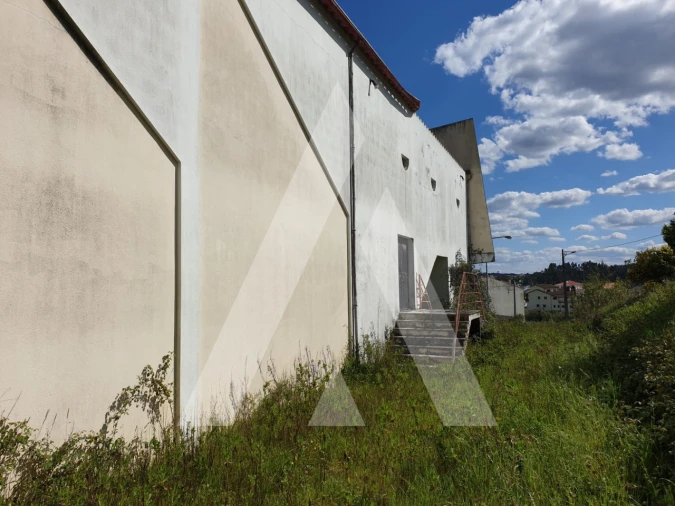 Negócio para Venda em Louriçal Foto 19