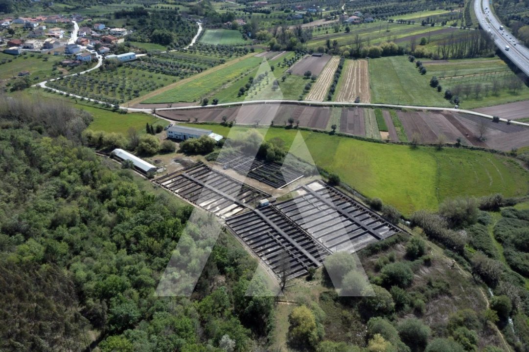 Armazém para Venda em Redinha Foto 2