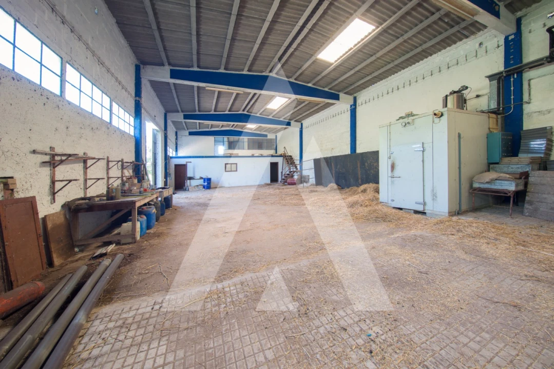 Armazém para Venda em Redinha Foto 4