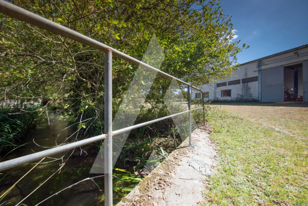 Armazém para Venda em Redinha Foto 21