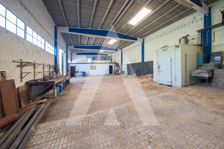 Armazém para Venda em Redinha Foto 4