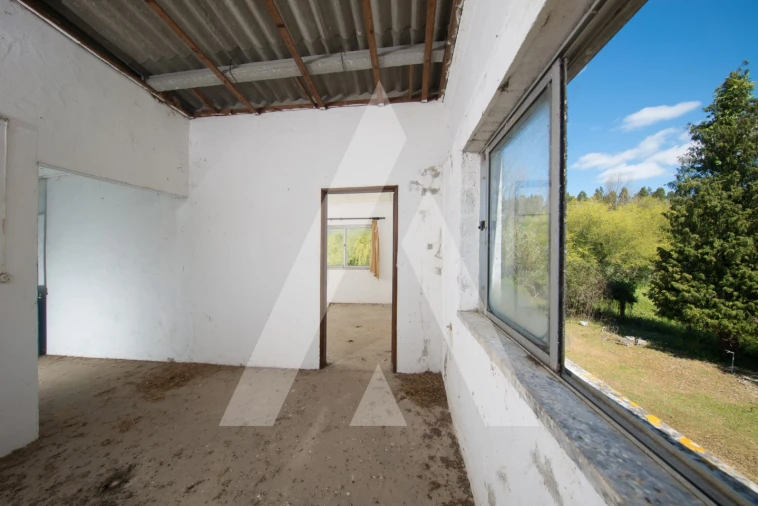 Armazém para Venda em Redinha Foto 11