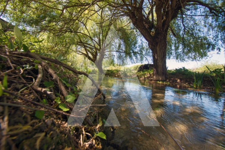 Armazém para Venda em Redinha Foto 20