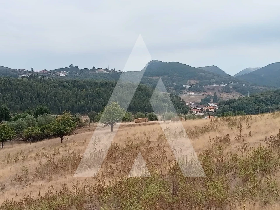 Terreno para Venda em Porto de Mós - São João Baptista e São Pedro Foto 14