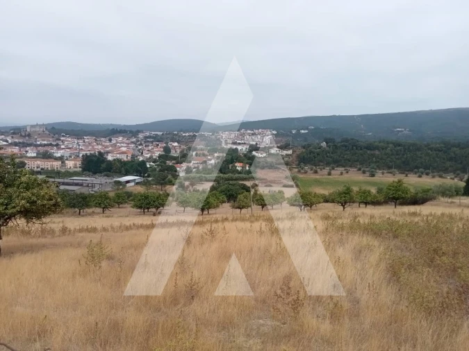 Terreno para Venda em Porto de Mós - São João Baptista e São Pedro Foto 5