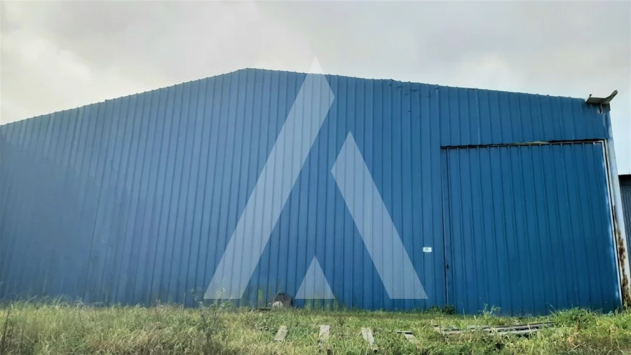 Armazém para Venda em Batalha Foto 10