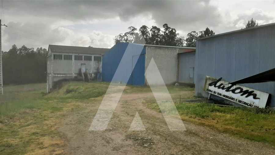 Armazém para Venda em Batalha Foto 11