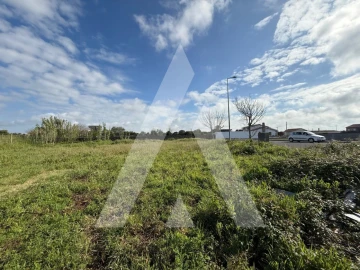 Terreno para Venda em Paião