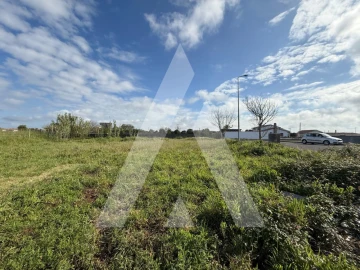 Terreno para Venda em Paião