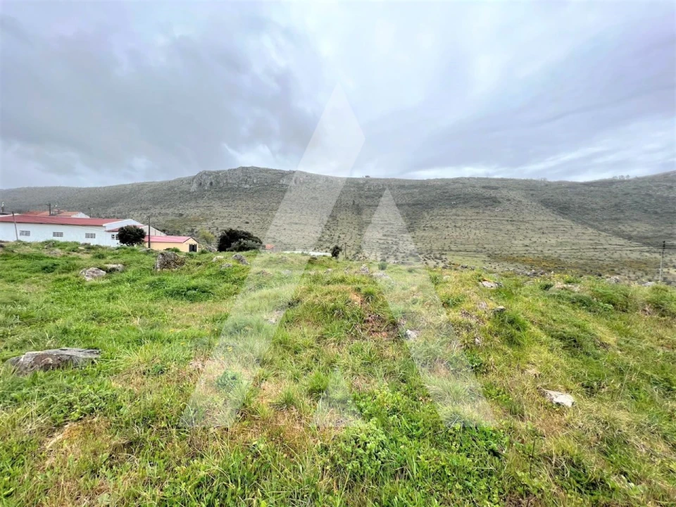 Terreno para Venda em Mira de Aire Foto 4