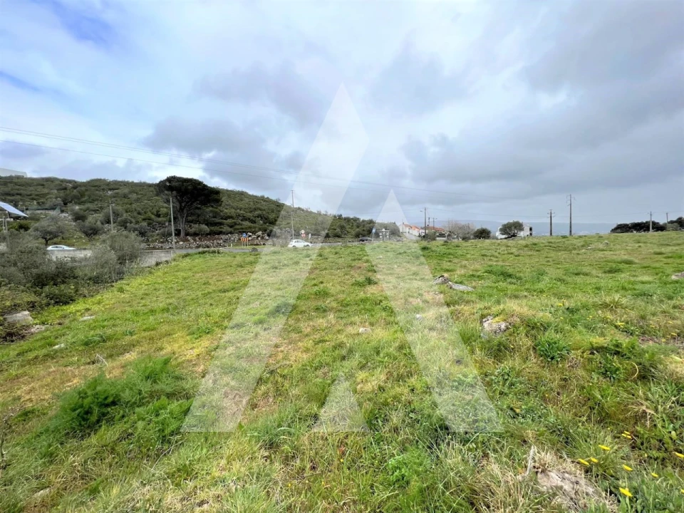 Terreno para Venda em Mira de Aire Foto 6