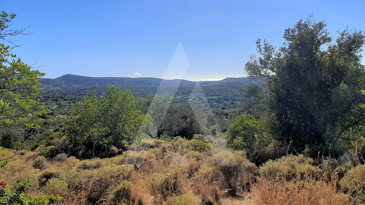 Terreno para Venda em Santa Barbara de Nexe Foto 1