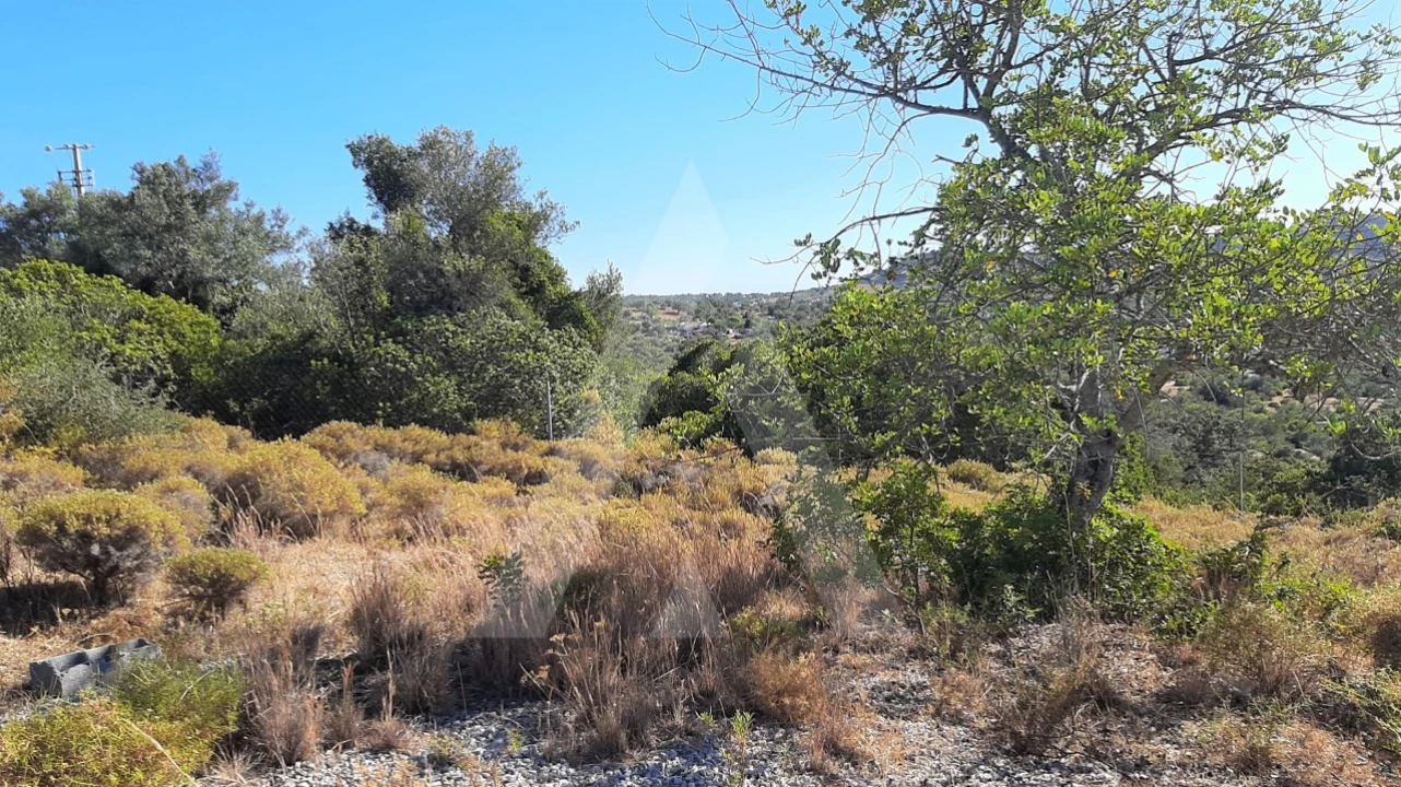 Terreno para Venda em Santa Barbara de Nexe Foto 3