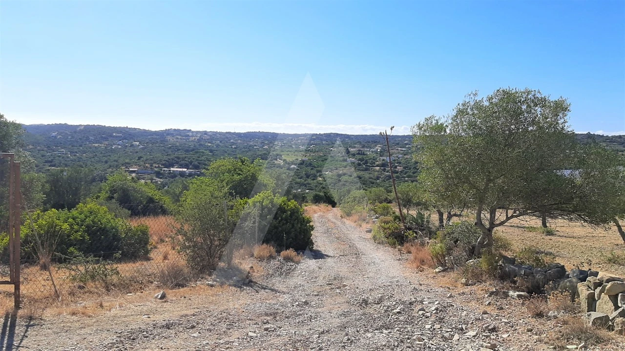 Terreno para Venda em Santa Barbara de Nexe Foto 6