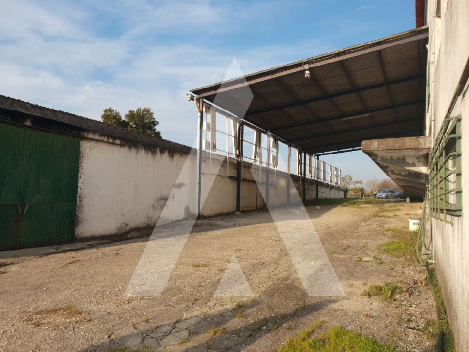 Negócio para Venda em Arcos e Mogofores Foto 22