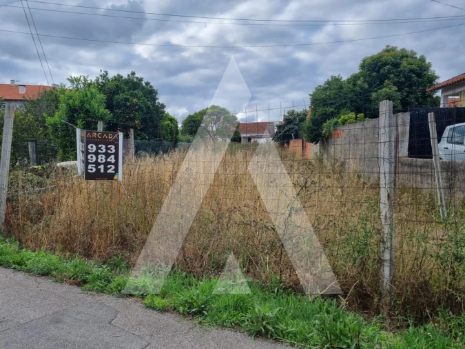 Terreno para Venda em Oiã Foto 4