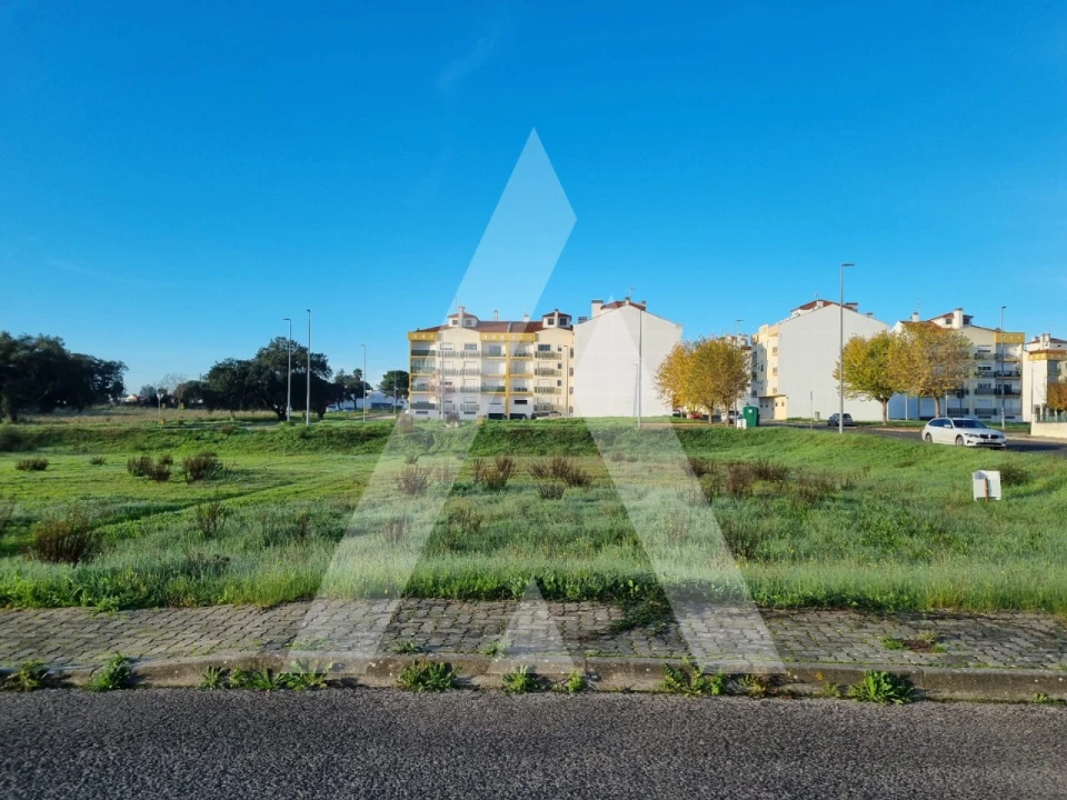 Terreno para Venda em Cartaxo e Vale da Pinta Foto 5